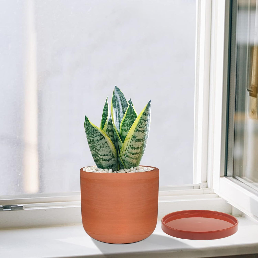 yukfona ceramic plant saucer tray 10 inch red, close-up detail