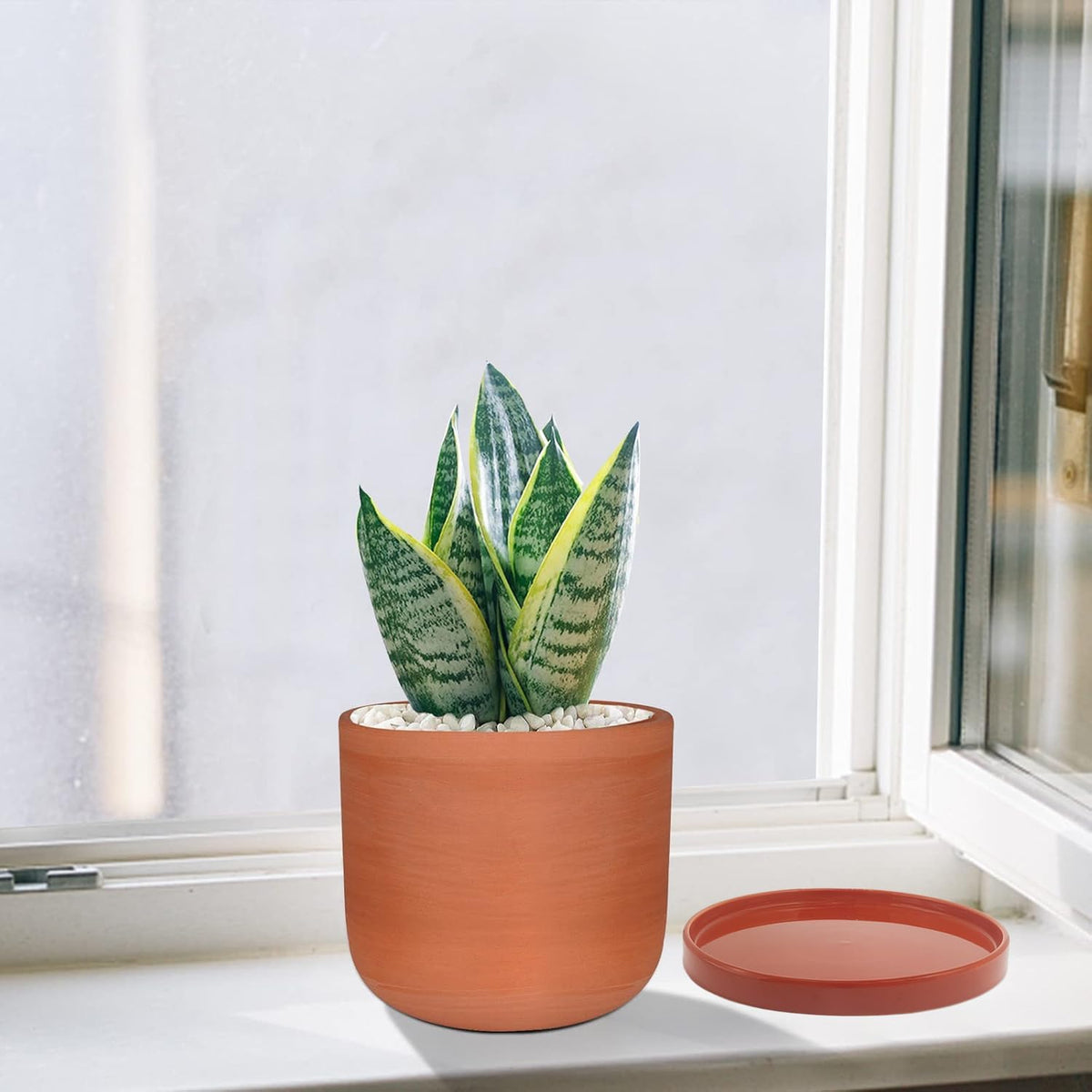 yukfona ceramic plant saucer tray 10 inch red, close-up detail