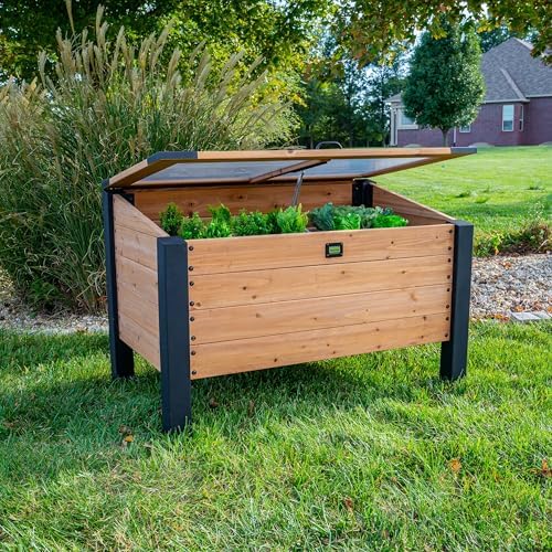 backyard discovery aggie 4' x 2' cedar wood, main product view