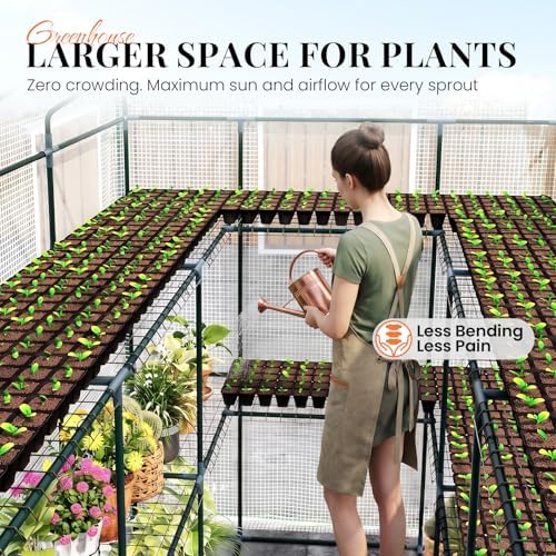 king bird premium greenhouse for outdoors, 84x56x77 upgraded, close-up detail