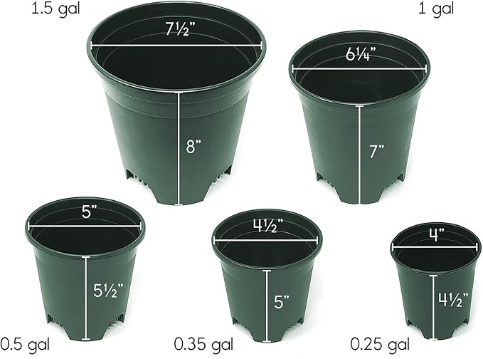 5.5 Inch Gardening Flower Pots 10-Pack Green Pot Liners 0.5 Gallon Nursery Pot Plastic Planters for Outdoor Indoor Plants with Drainage Holes