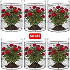 dhampooh garden cloches for plants, outdoor plant protectors showing dimensions