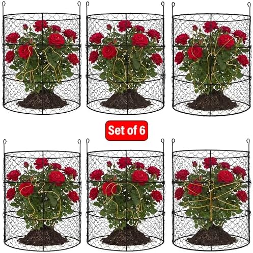 dhampooh garden cloches for plants, outdoor plant protectors showing dimensions