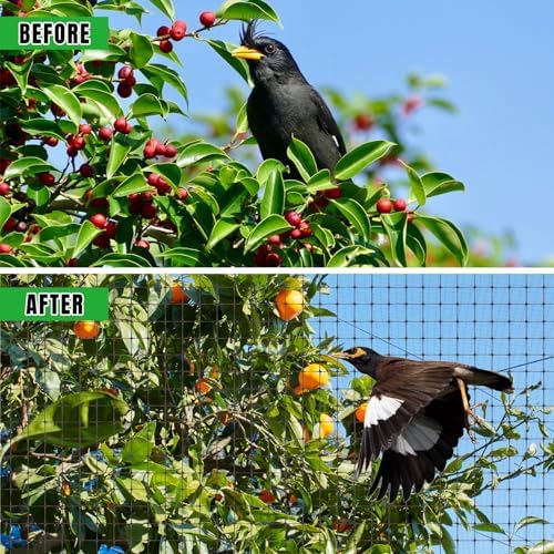nonmon bird netting deer fence netting 2 pack shown in use