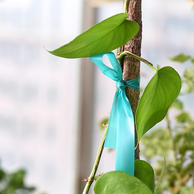 4 Rolls Stretch Tie Tape, 1” Wide 200FT Reusable Garden Plant Ties Green Tapes for Plants, Thick Garden Vinyl Stake Ribbon for Branches Flowers Tomatoes Indoor Outdoor Greenhouse