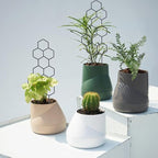 Small Trellis for Potted Plants, 15.94 inch Metal Plant Trellis for Climbing Plants Indoor Pot Honeycomb Shape Lattice for Ivy Vines Hoya Houseplants Flower 2 Pack