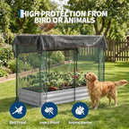 galvanized raised garden bed with dual protection cage, close-up detail