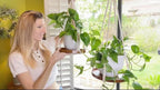 2 Pack Macrame Plant Hanger | Plant Hanger Indoor, Hanging Planter Shelf | Hanging Planter (Beige) (1 Large + 1 Medium)