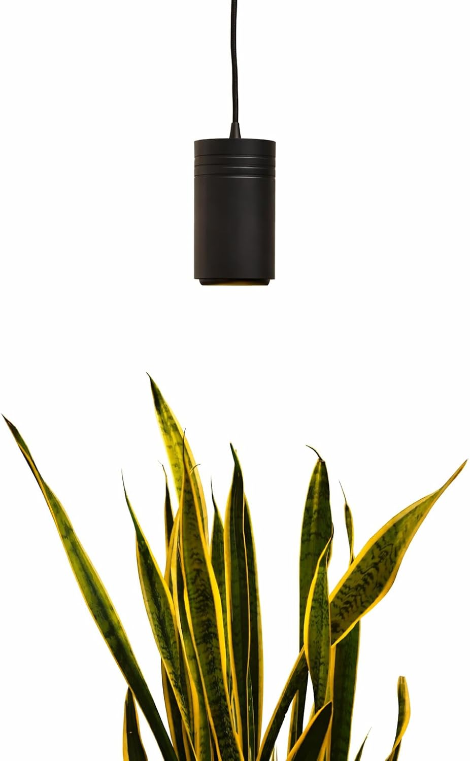 Aspect Soltech Gen 2 – World’s First Decor Grow Light | Black High-Output LED Pendant Grow Light for Indoor Plants | Warm White, Natural Light | Dimmable