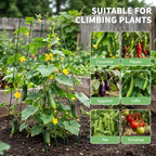docred 39.4" h cucumber trellis, 2 pack foldable, side view