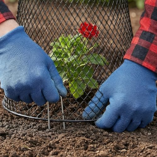 soujoy 10 pcs 8"x8" chicken wire plant protect on a desk or shelf