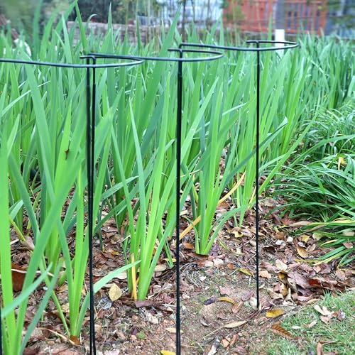 tcbwfy 14" dx32 h plant supports stakes for, package contents