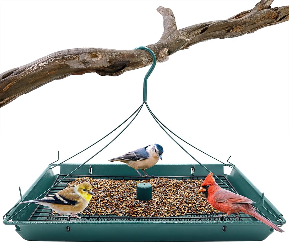 Zenport Z203009 2-in-1 Platform Bird Feeder, Green - 3 Pack
