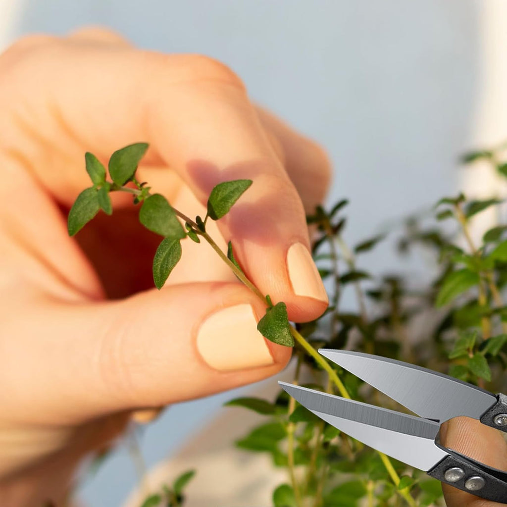 2 Pcs Bonsai Pruning Scissors for plants, Mini plant trimmers & Sewing Snips for Bud Leaves Flowers Stitch Embroidery Knitting DIY Crafts