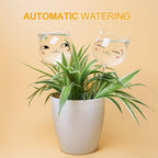 KiKiHeim Plant Watering Globes Self Watering Planter Insert Glass Spikes, Hand Blown Clear Automatic Water Bulbs for Outdoor&Indoor Plants, 6.4oz/190ml Capacity, 3 Cats