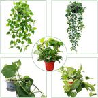 2 Pack Circle Trellis for Climbing Plants Indoor, 15" Gold Small Plant Support Stakes, Flower Houseplant Hoya Support for Potted Plants & Garden Stem Vines