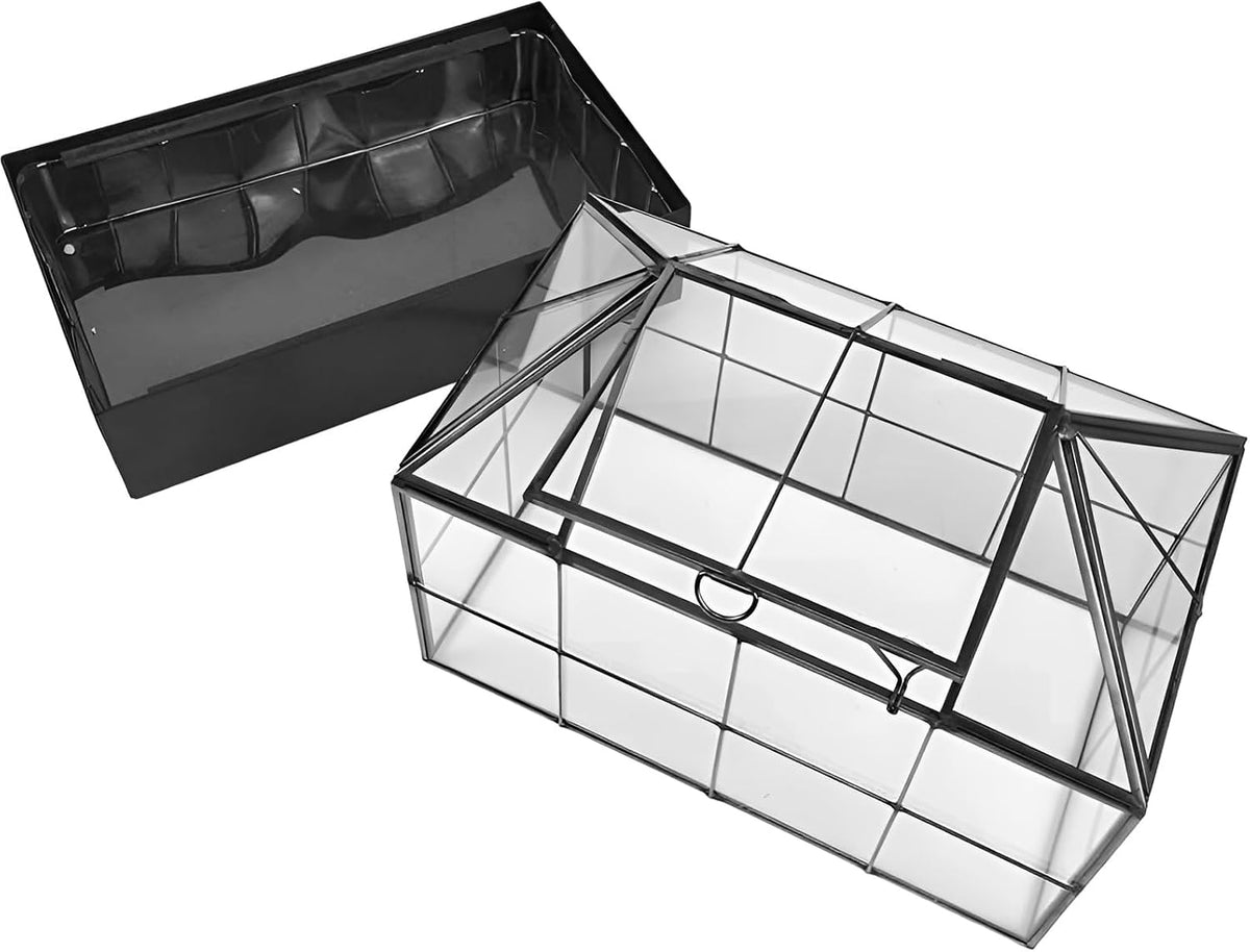 large tall plant terrarium glass – glass greenhouse showing dimensions