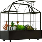 large tall plant terrarium glass – glass greenhouse, front angle view