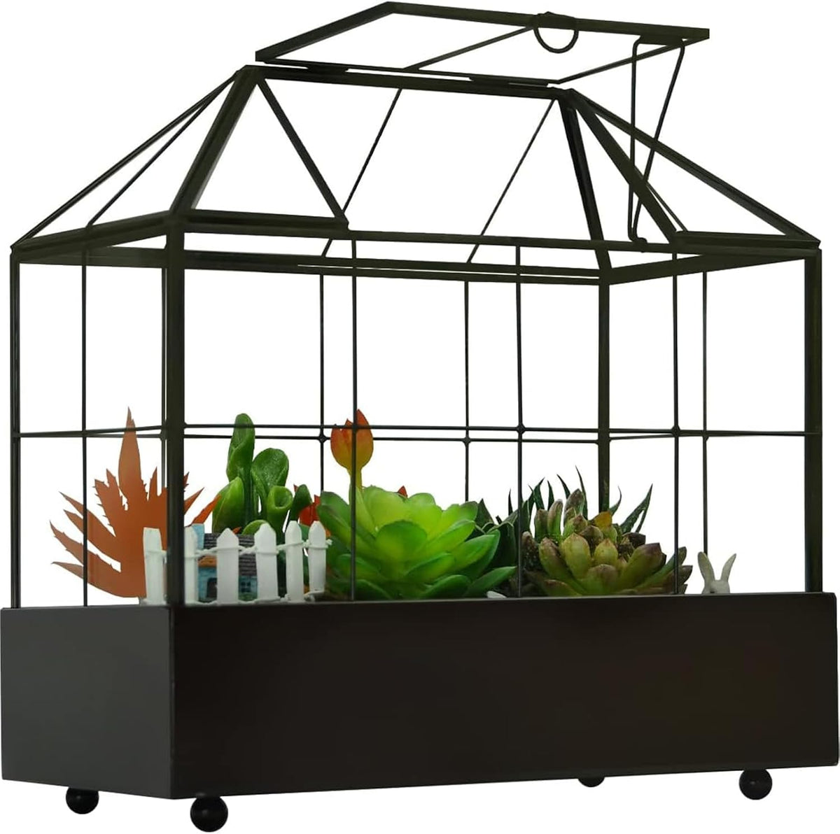 large tall plant terrarium glass – glass greenhouse, front angle view