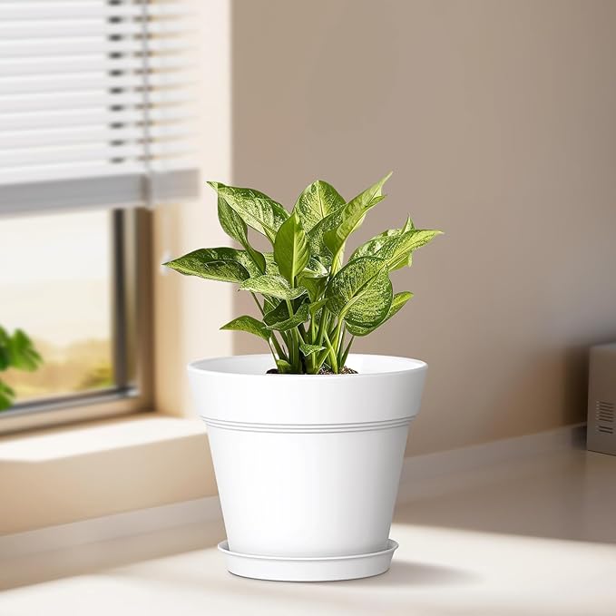 4 Inch Plastic Plant Pots with Drainage Holes and Trays – 8 Pack Small Nursery Pots for Indoor & Outdoor House Plants and Flowers, Seedling Starter Planters, Colorful