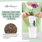 Lechuza MINI-DELTINI Scarlet Red High Gloss, Self-Watering Small Indoor Planter, H5.1 L3.9 W3.9 in