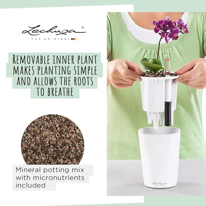 Lechuza 14903 Deltini Self-Watering Planter for Indoor and Outdoor Use, 6" x 6" x 7", Charcoal