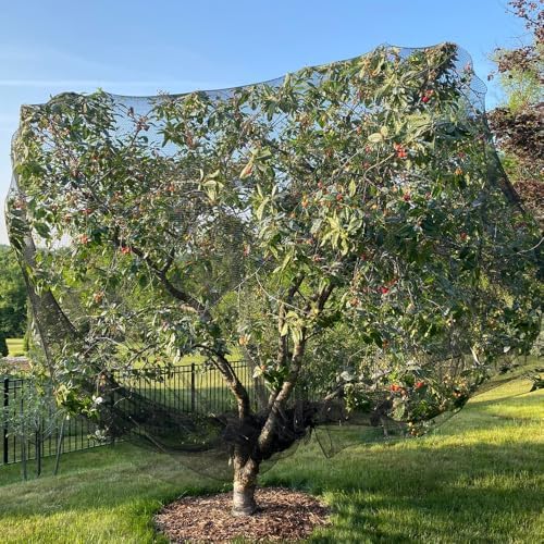 bird netting for chicken coop 50x50 ft, 1" on a desk or shelf