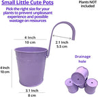 LaLaGreen Hanging Planter Outdoor - 10 Pack, 4 Inch Fence Planters Outdoor Purple Hanging Window Flower Bucket Metal Succulent Pots Balcony Railing Wall Garden Deck Porch Herb Plant Macetas Exterior