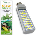 The Bio Dude 6" Glow & Grow Best Plant Growth Reptile & Amphibian LED Bulb for terrariums