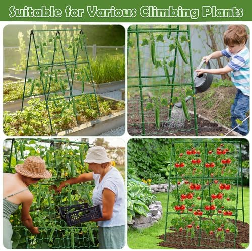 cucumber trellis for raised beds, 31 x 47 on a desk or shelf