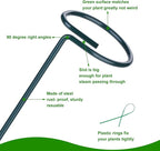 2 Pack (DIY) Plant Support Stakes, Three Sizes (12 or 24 or 36 inch) Plant Support Rings with 20 Pcs Plant Twist Ties, Garden Stake for Indoor Outdoor Plant Flowers, Amaryllis, Tomatoes