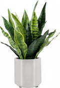 faux snake plant 22" tall, realistic touch leaves, main product view