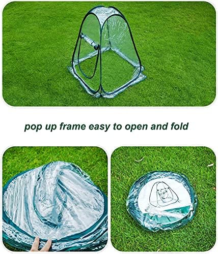 porayhut pop up greenhouse cover ,pack of 2 on a desk or shelf