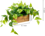 mygift artificial pothos plant, acacia wood planter box showing dimensions