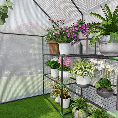 small greenhouse for outdoors, walk-in plant greenhouse with, front angle view