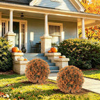 artificial boxwood topiary ball outdoor set of 2, front angle view