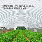 vevor greenhouse plastic sheeting 12 x 25 ft, close-up detail