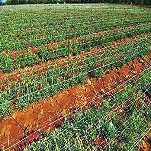 toolazy professional garden trellis netting bulk roll 4ft, front angle view