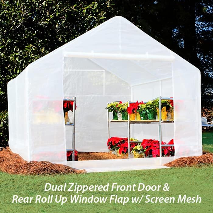 king canopy greenhouse 10-ft by 10-ft, 1 3/8-in showing dimensions