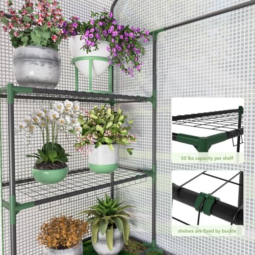 walk in greenhouses, 57 x 29 x 76, close-up detail