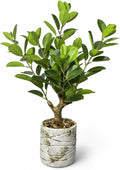 20.5 inch artificial ficus tree in cement pot, main product view