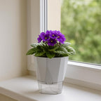 5 Pack Self Watering Pots for Indoor Plants 6.7 Inches Self Watering Planters African Violet Self Watering Pots Clear Pot for Herb Orchid Flower Houseplant, Light Grey