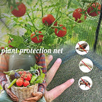poray large tunnel 8.2'x4' plant netting cover, 6ft on a desk or shelf