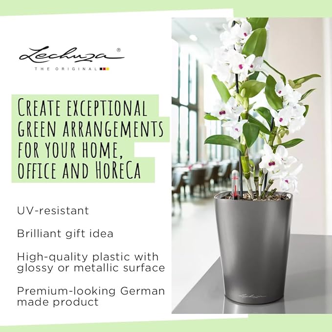 Lechuza 14903 Deltini Self-Watering Planter for Indoor and Outdoor Use, 6" x 6" x 7", Charcoal
