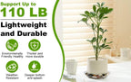 6 Pack 12 Inch Heavy Duty Clear Plastic Plant Saucer Sturdy Pot Tray Plant Drip Trays for pots,Plant Water Catcher Tray,Flower Pot Saucer Water Drainage Tray Floor Protector (12 Inch)