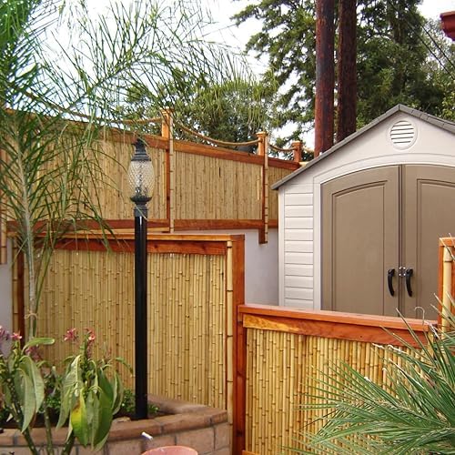forever bamboo natural bamboo fencing decorative rolled fence shown in use