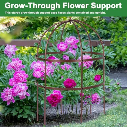 jardin bird cage plant support 24" h large on a desk or shelf