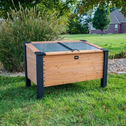backyard discovery aggie 4' x 2' cedar wood on a desk or shelf