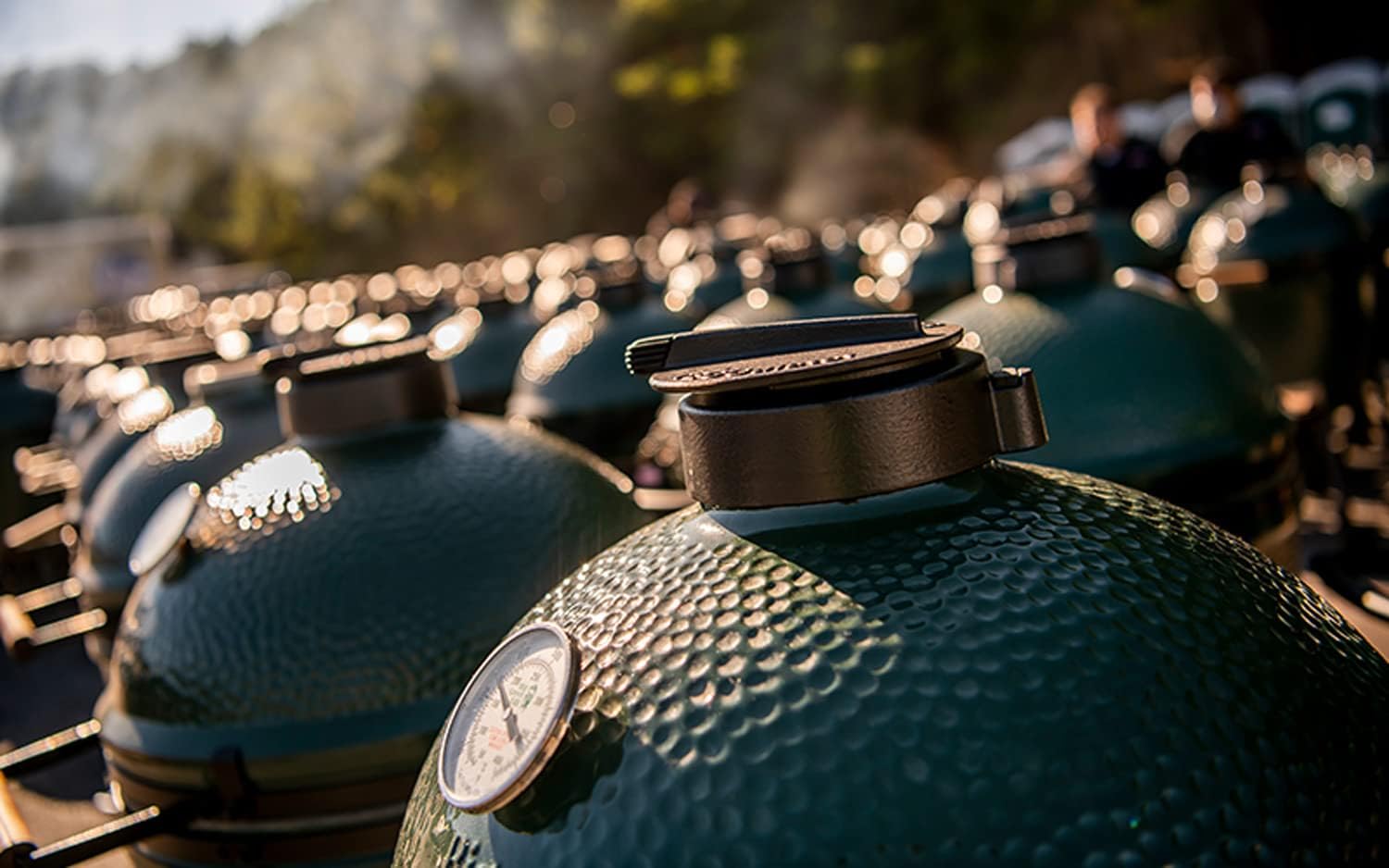 Big Green Egg rEGGulator Top - M