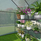 small greenhouse for outdoors, walk-in plant greenhouse with, front angle view